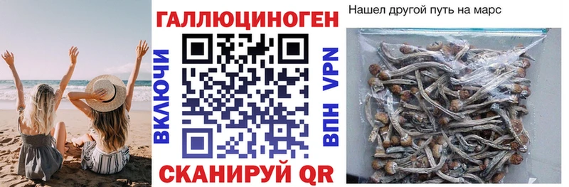 Псилоцибиновые грибы MAGIC MUSHROOMS  Брянск 